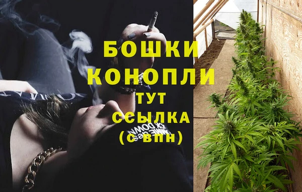 ALPHA-PVP Алексин