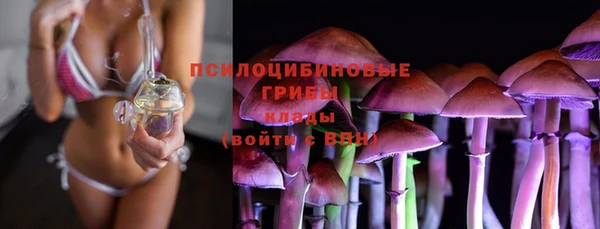 эйфоретик Алзамай