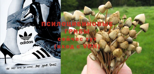 эйфоретик Алзамай