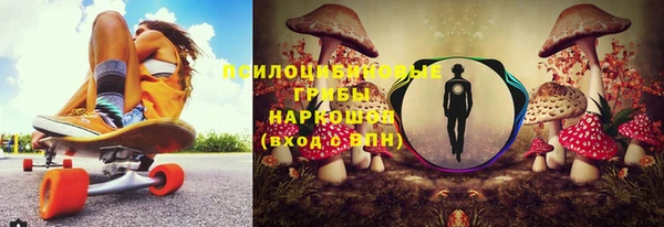 эйфоретик Алзамай