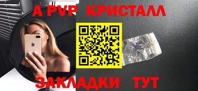 шишки Мирный