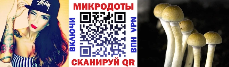 Галлюциногенные грибы прущие грибы  Усинск 